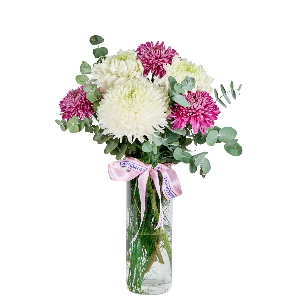 Vazoda Mor-Beyaz Kasımpatılar