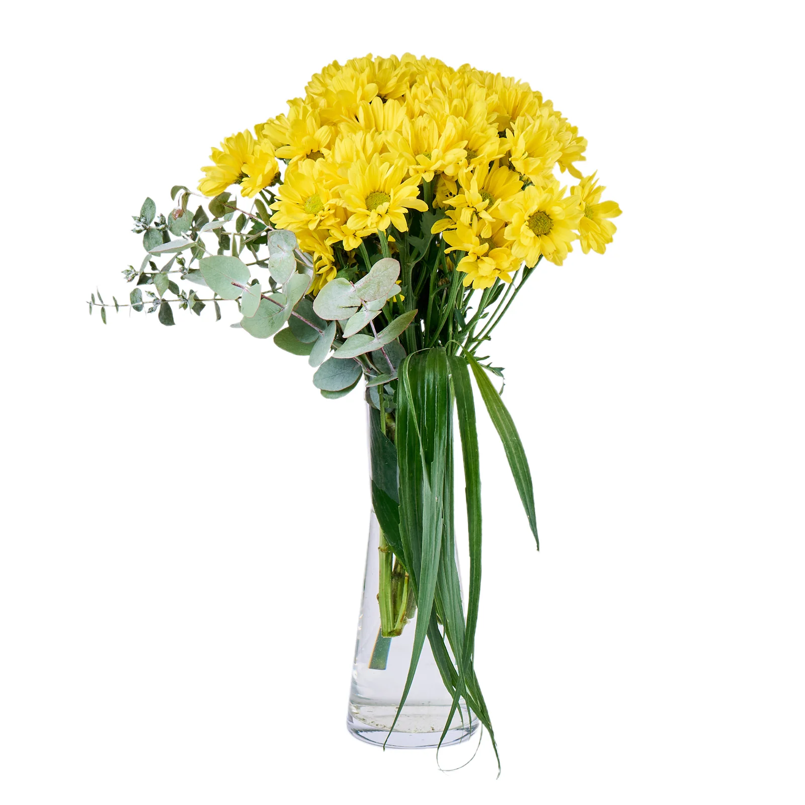 My Yellow Papatya