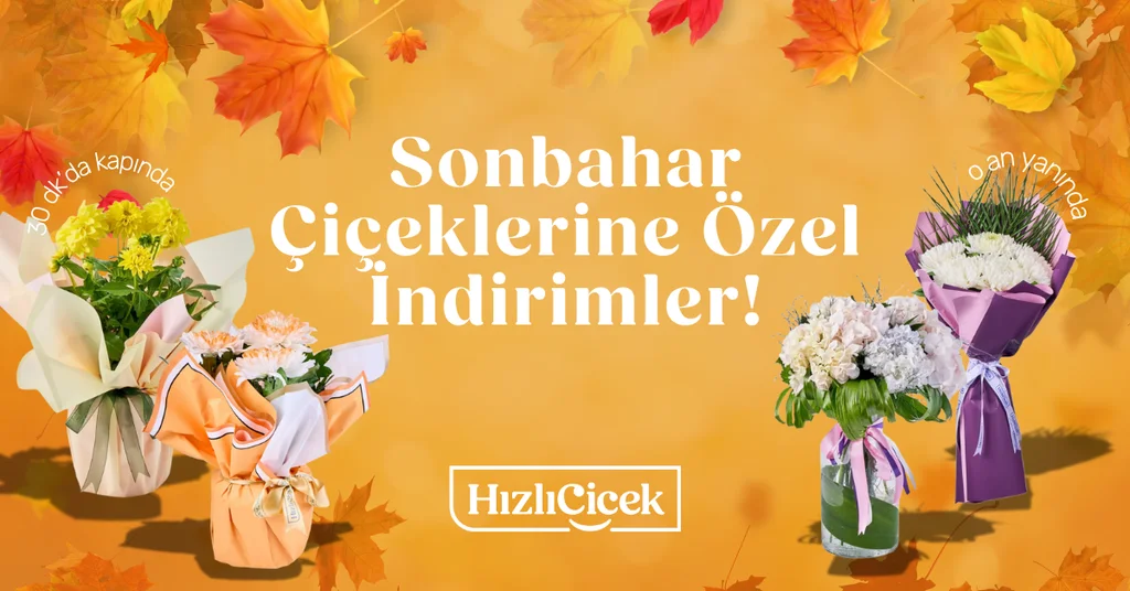 sonbahar çiçekleri