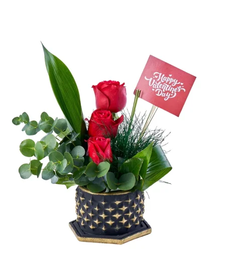 Sevgililer Günü Bloom