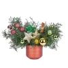 The Christmas Star