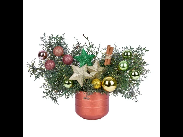 The Christmas Star
