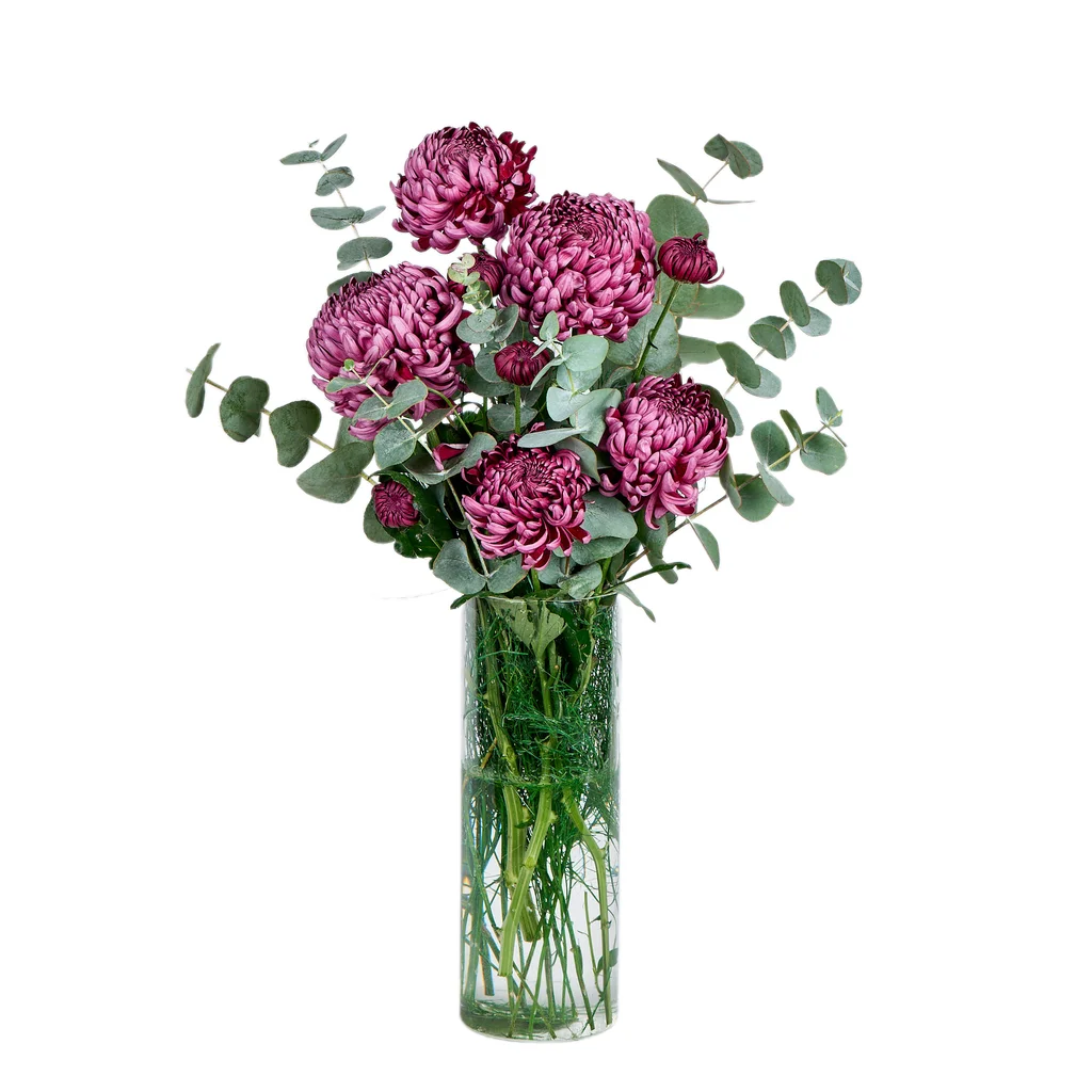 Vazoda Bordo Kasımpatı