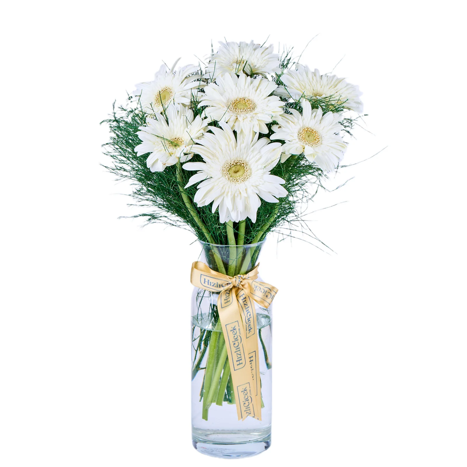 Vazoda Beyaz Gerbera