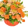 Cozy Pumpkin - 2