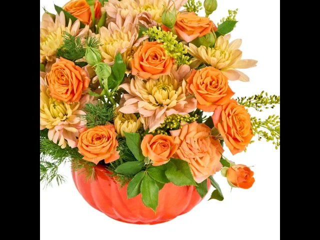 Cozy Pumpkin - 2