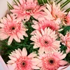 Pembe Gerbera Buketi - 3