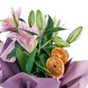 Pembe Saksı Lilyum - 3