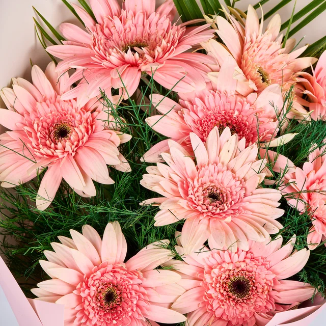 Pembe Gerbera Buketi - 3