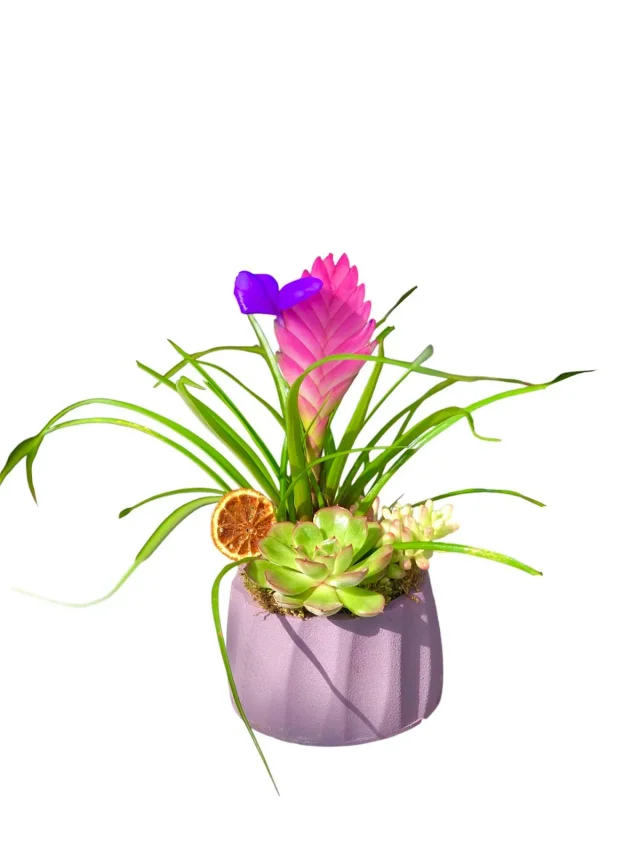 Purple Botanical