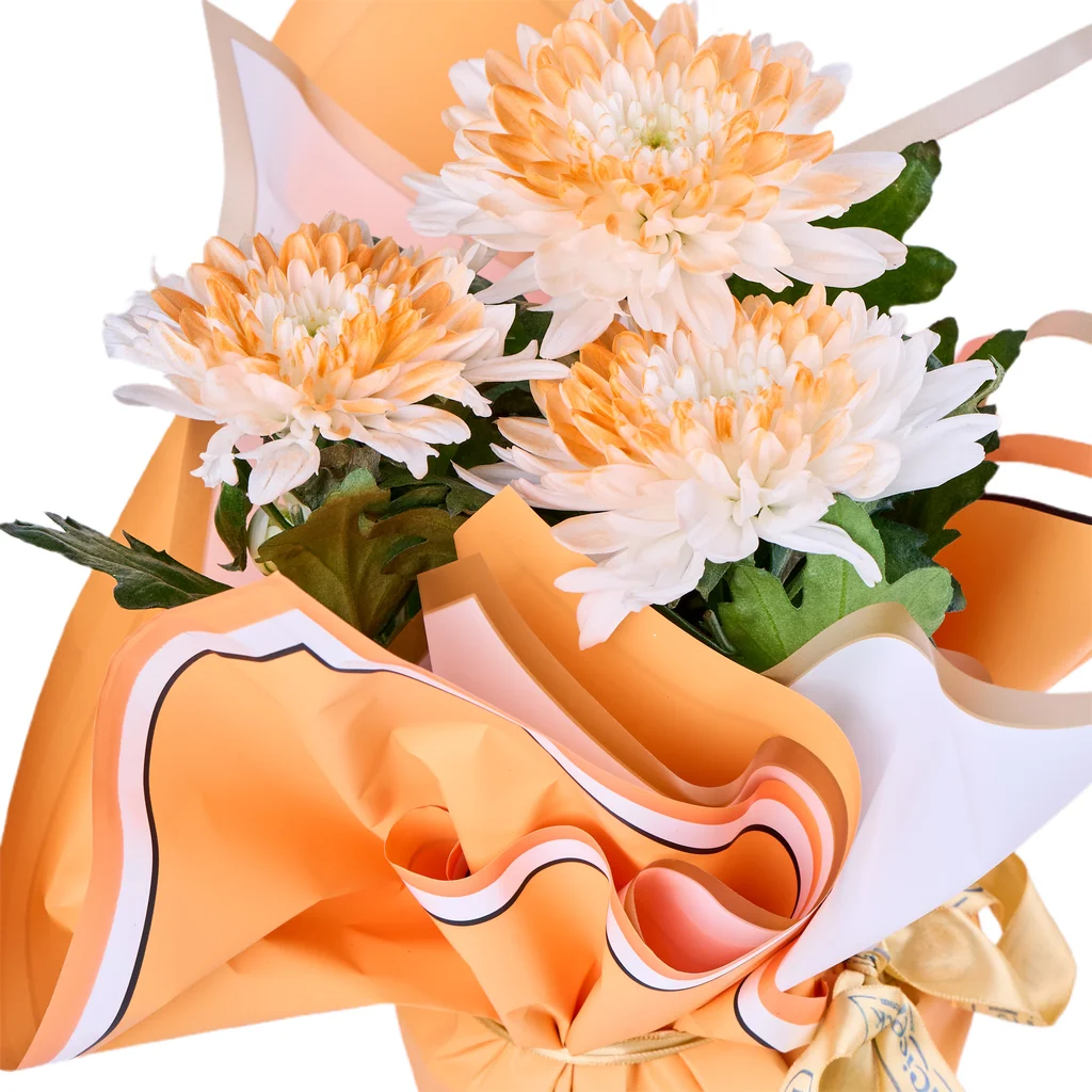 Saksıda Orange Kasımpatı - 2