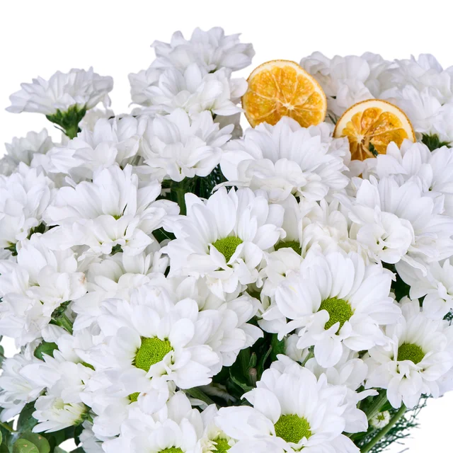My White Papatya - 2