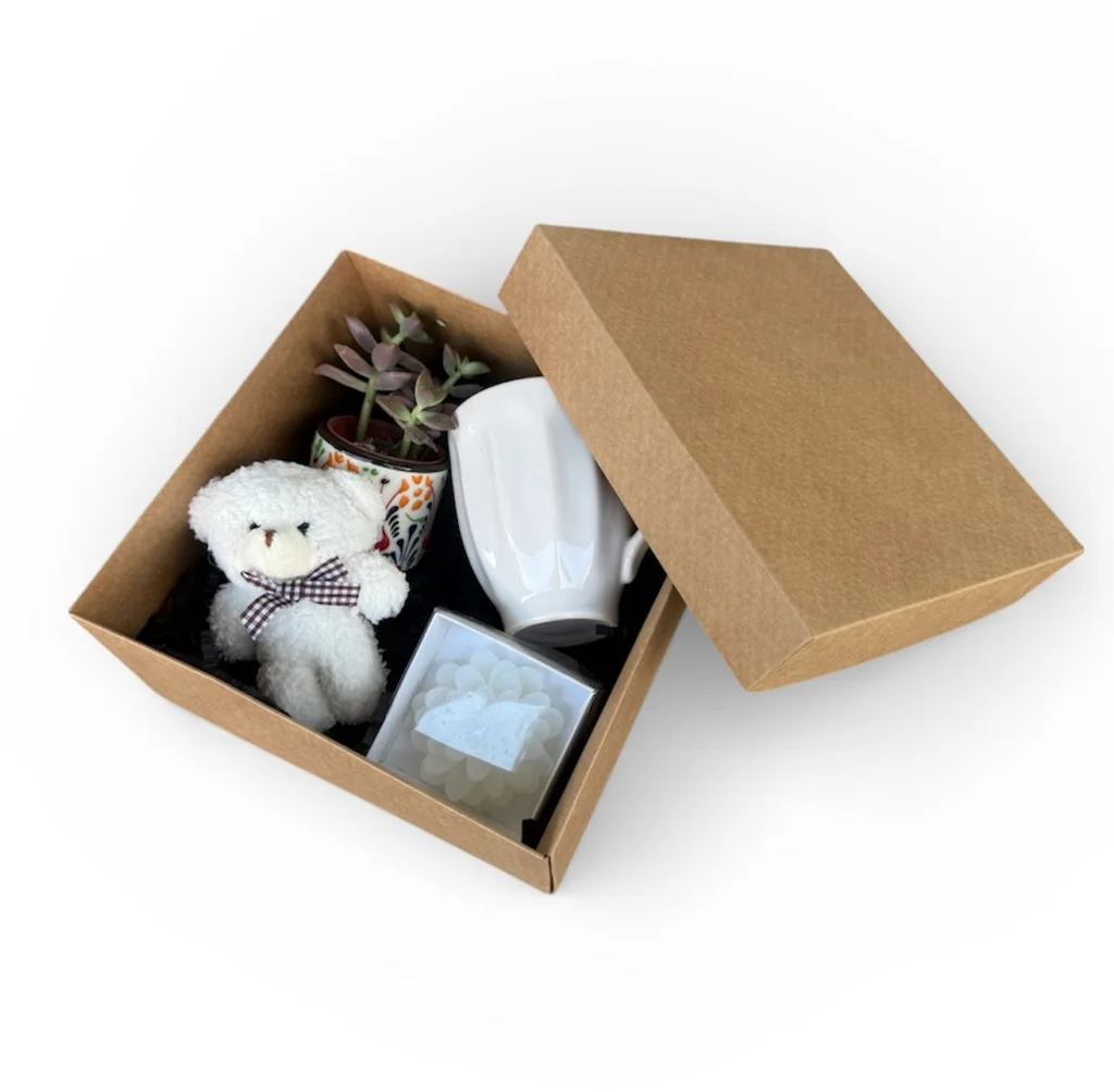 Sukulent Hediye Kutusu