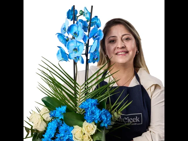 Blue Harmony Orkide - 2
