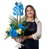 Blue Harmony Orkide