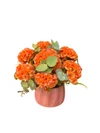 Orange Elegance
