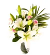 Royal White Lilyum - 2