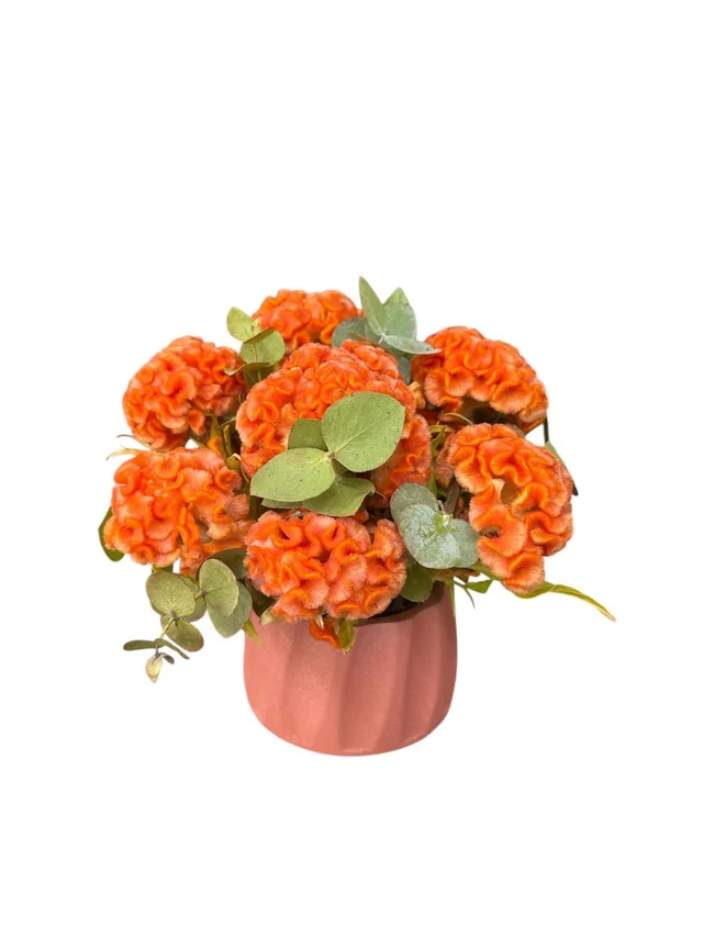 Orange Elegance