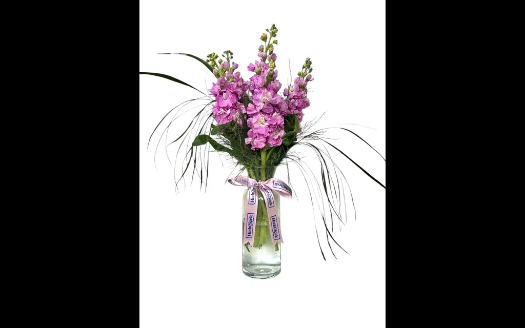 Paşabahçe Vazoda Pembe Şebboy 