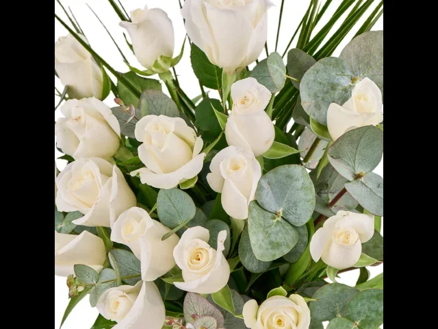 Pearl Roses - 2