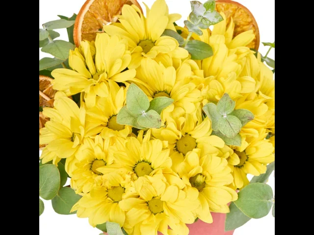 Yellow Kiss - 3