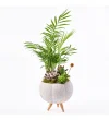 Lux Green Garden