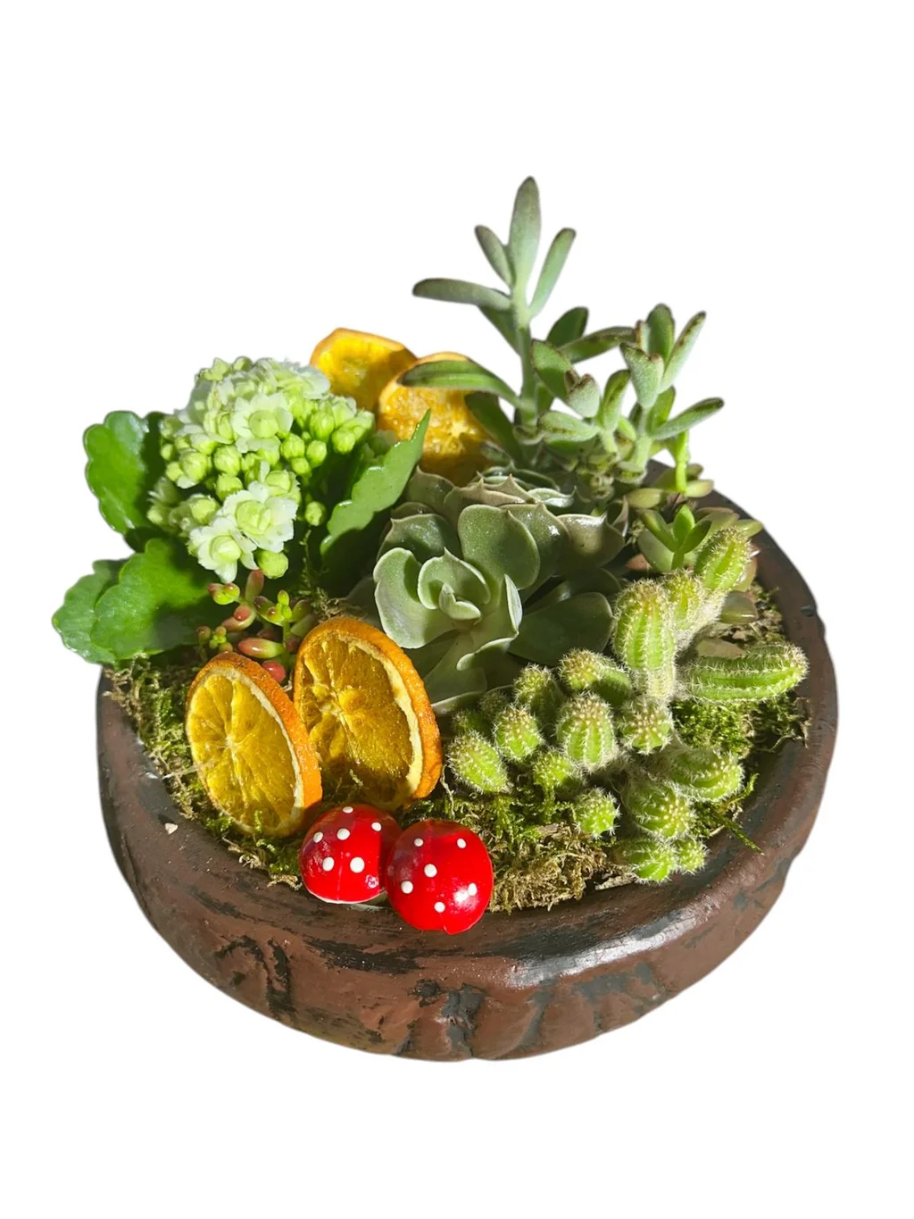 Lux Botanical Garden - 2