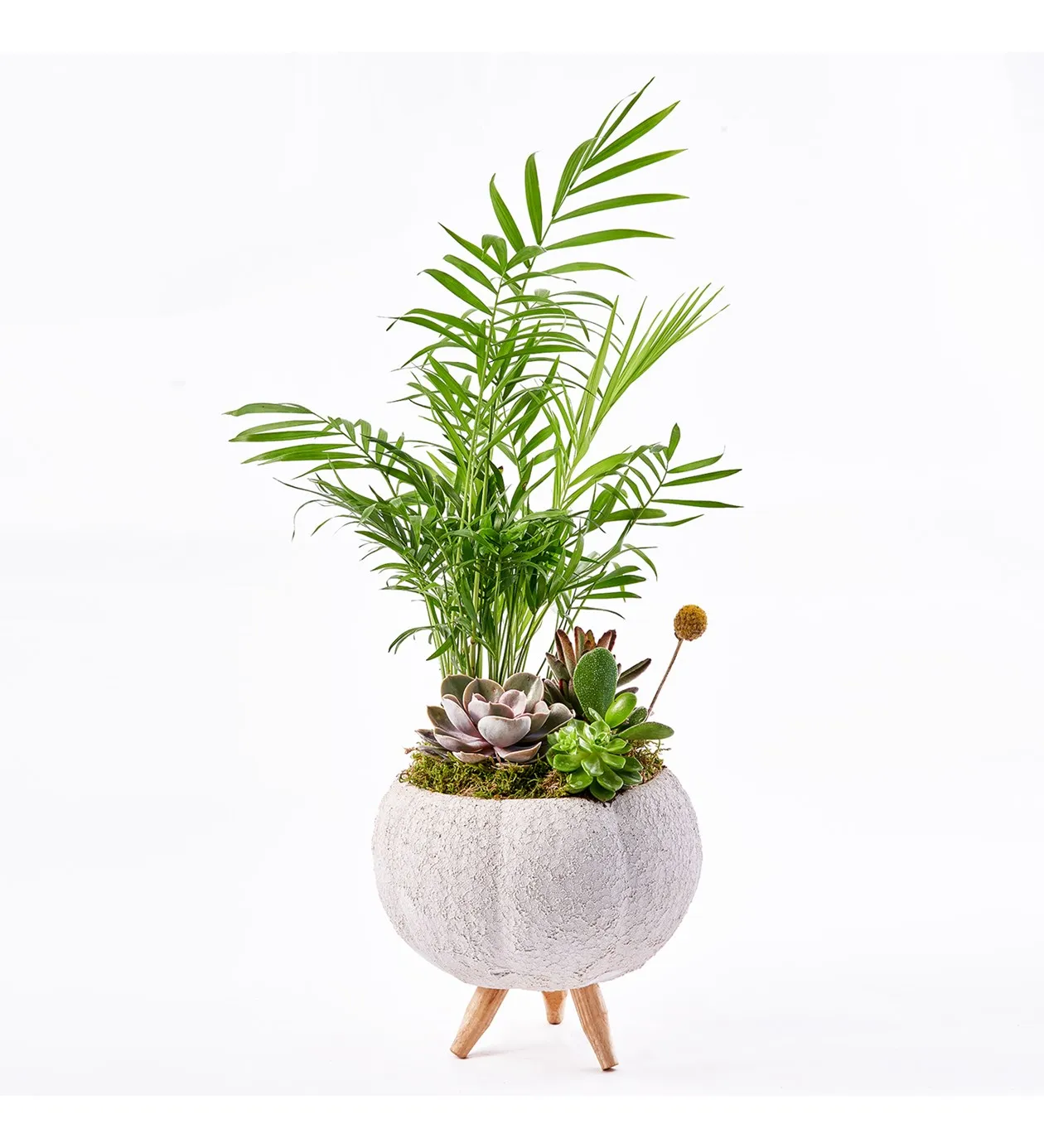 Lux Green Garden - 8