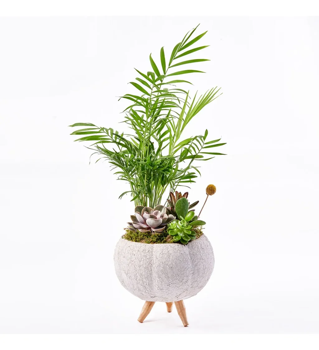 Lux Green Garden