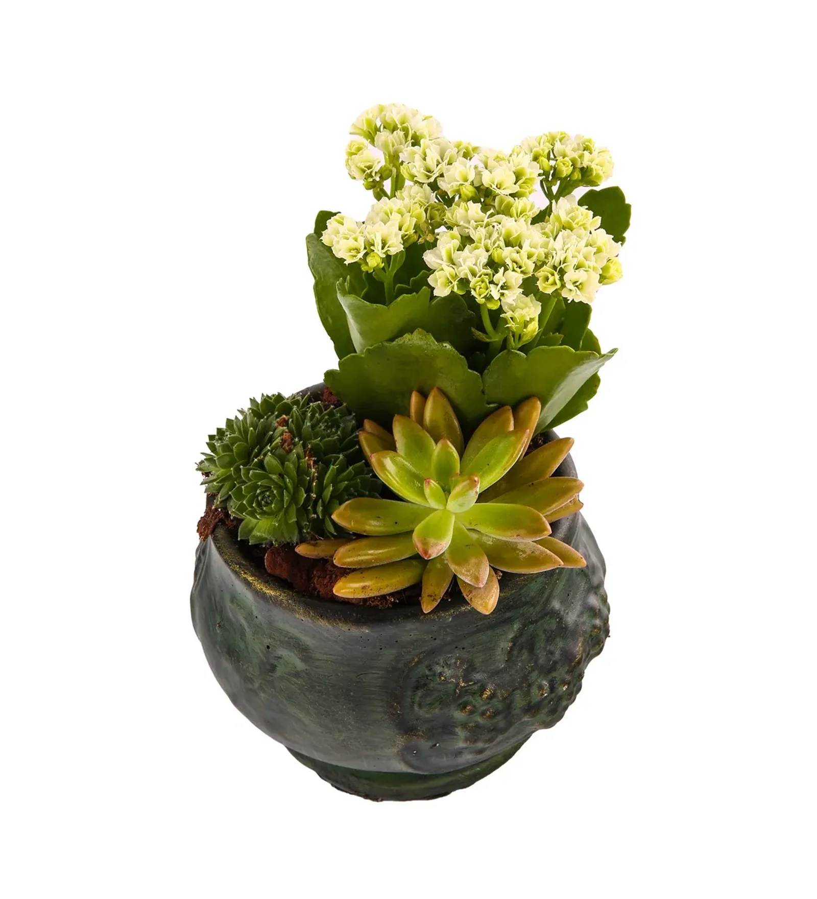 Fresh Trio Garden