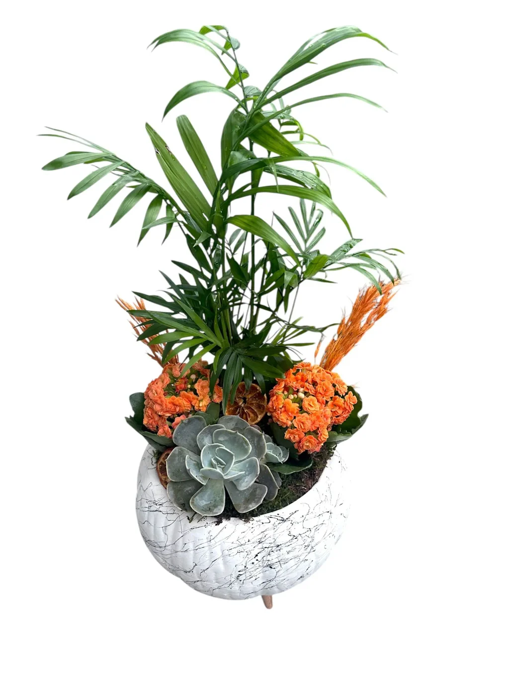 Turuncu Kalanchoe Aranjmanı
