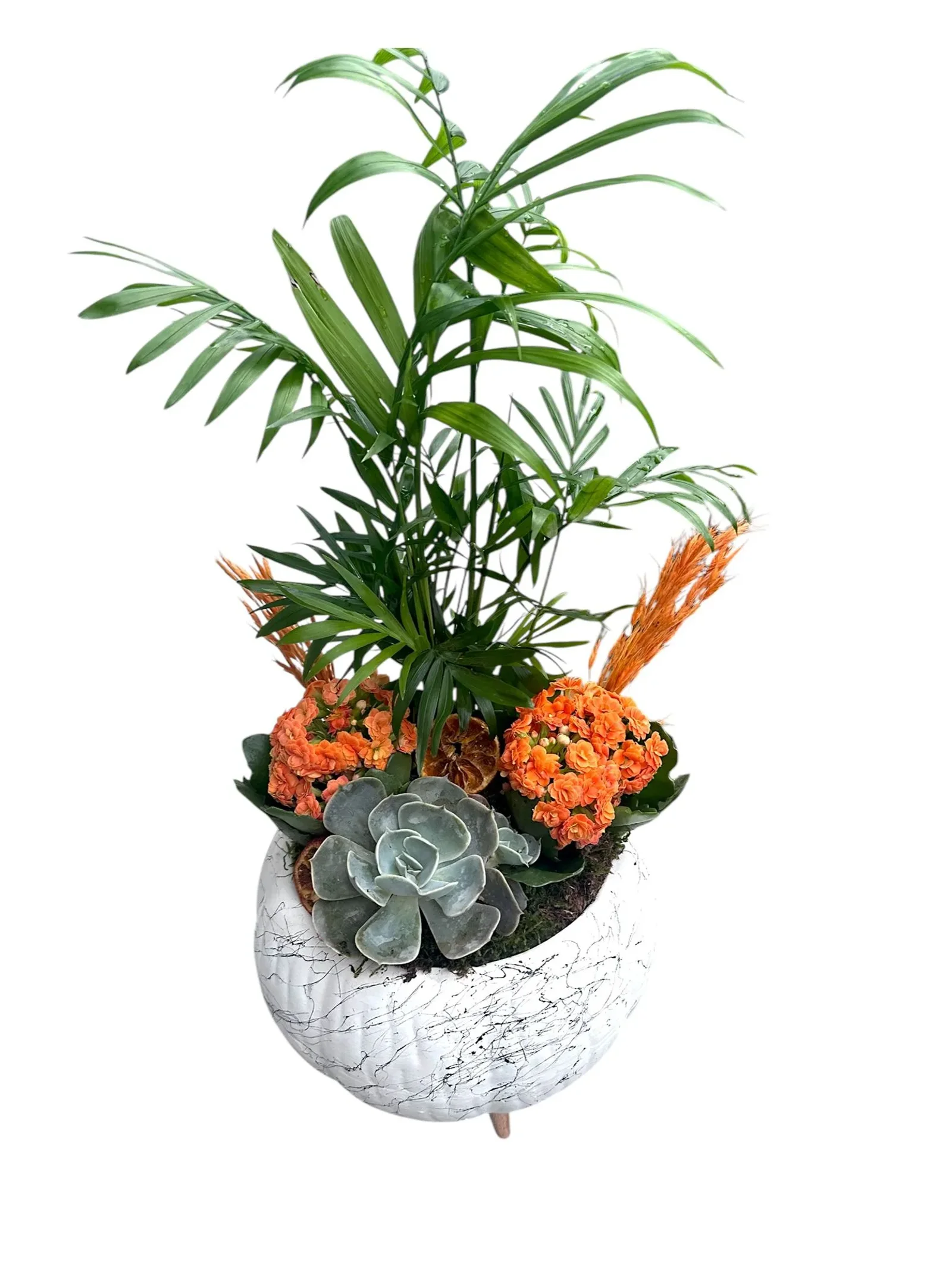 Turuncu Kalanchoe Aranjmanı