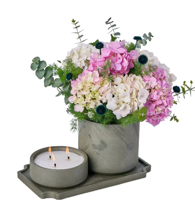 Ortanca and Candle Fantasy - 3