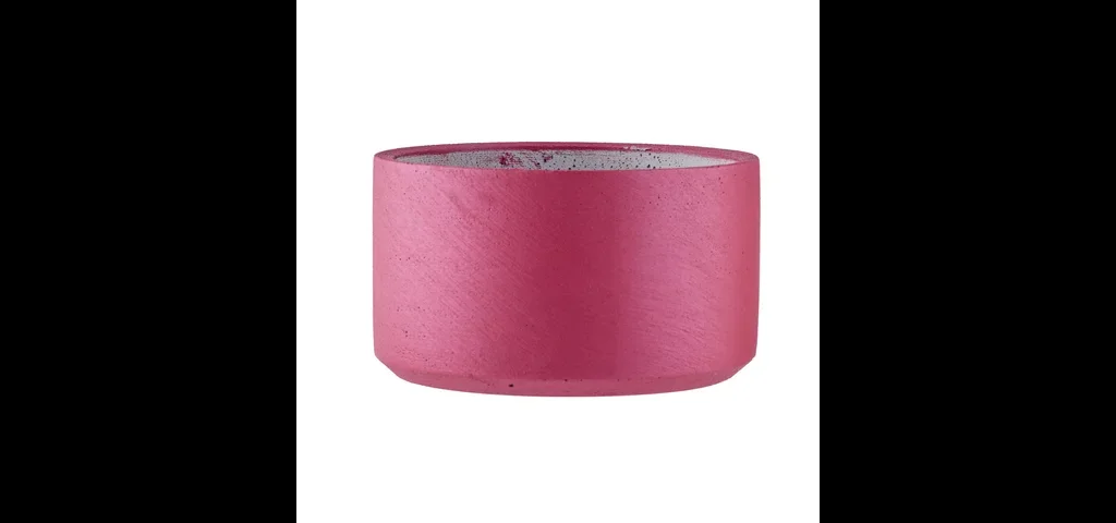 Kırmızı Sukulent Saksı