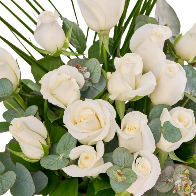 Amour Roses - 3