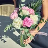 Vazoda Pembe Beyaz Şakayık - 3