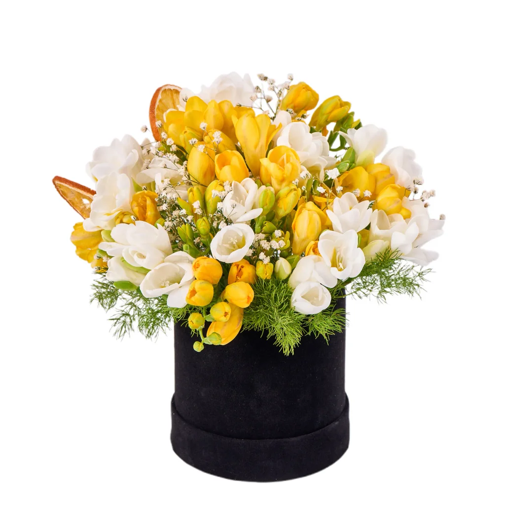 Sarı & Beyaz Frezya Box