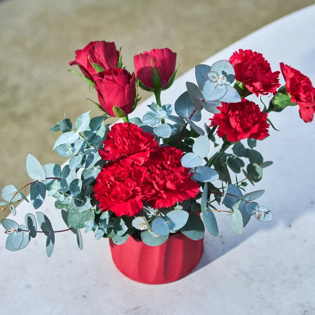 Red Twist - 2