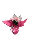 Saksıda Pink Kasımpatı - 2