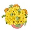 Yellow Kiss - 2