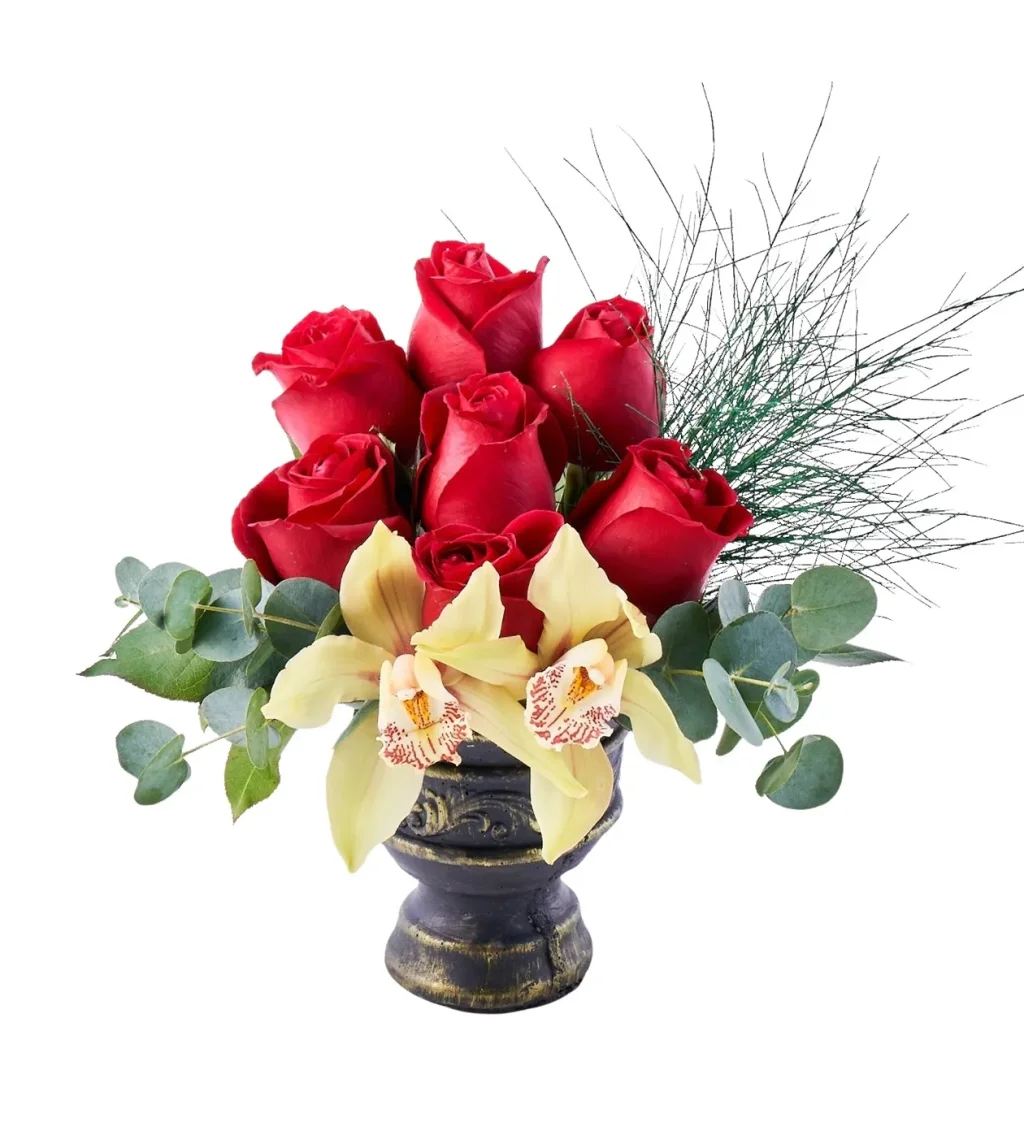 Red Pure Bloom