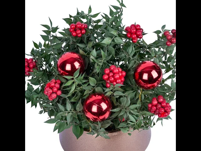 Bronze Berry - 2