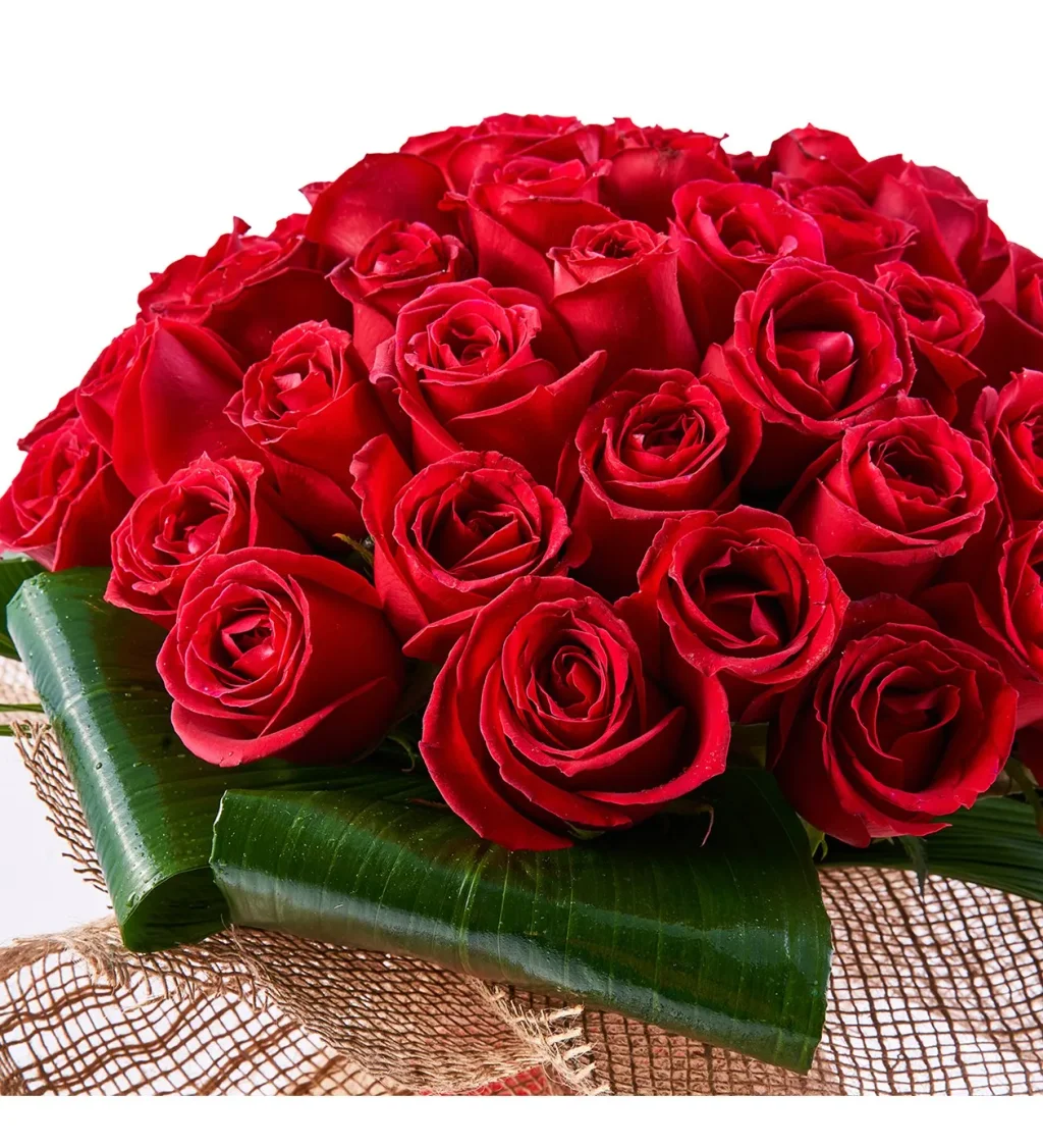 Premium 51 Kırmızı Gül - 7