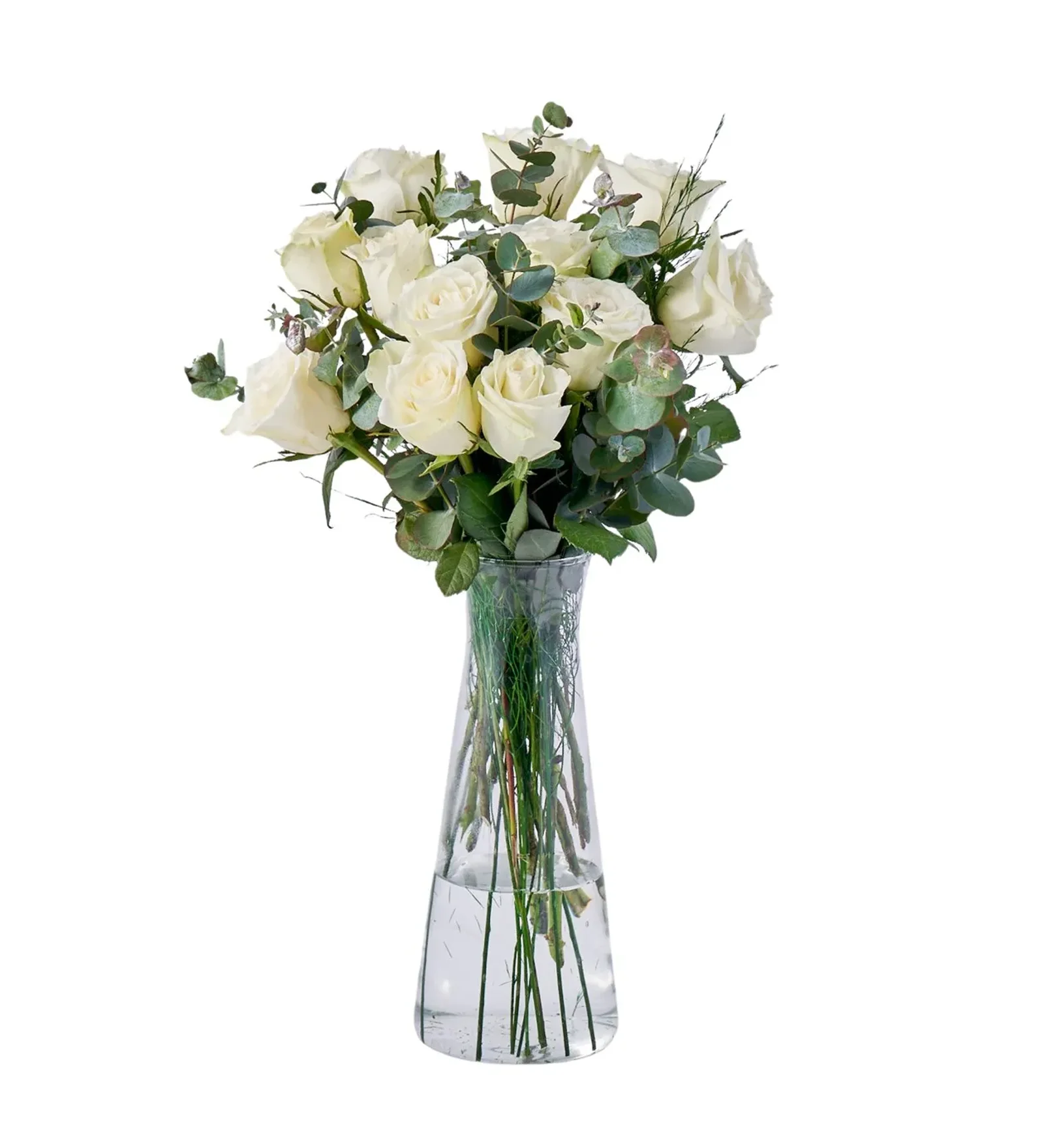 White Story Bloom
