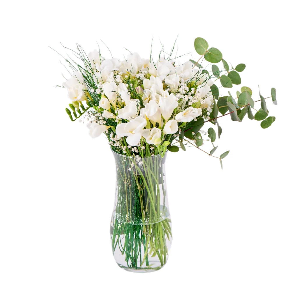 Vazoda Beyaz Frezya