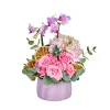Lila Dream Orchid