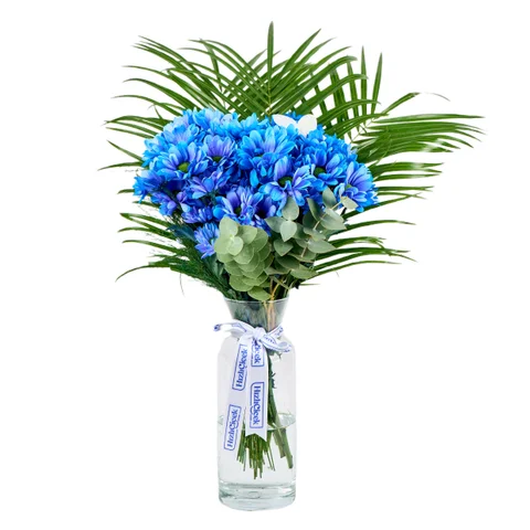 Vazoda Mavi Papatyalar