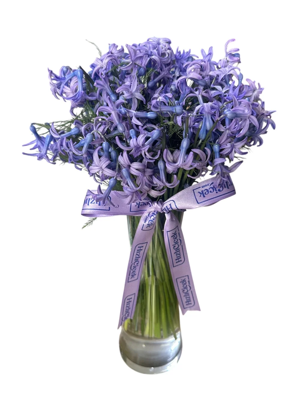 Vazoda Mor Sümbül - 3