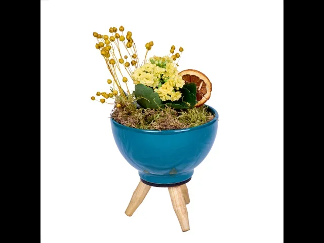 Vazoda Sarı Kalanchoe