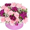 Fuchsia Berry Blend - 2
